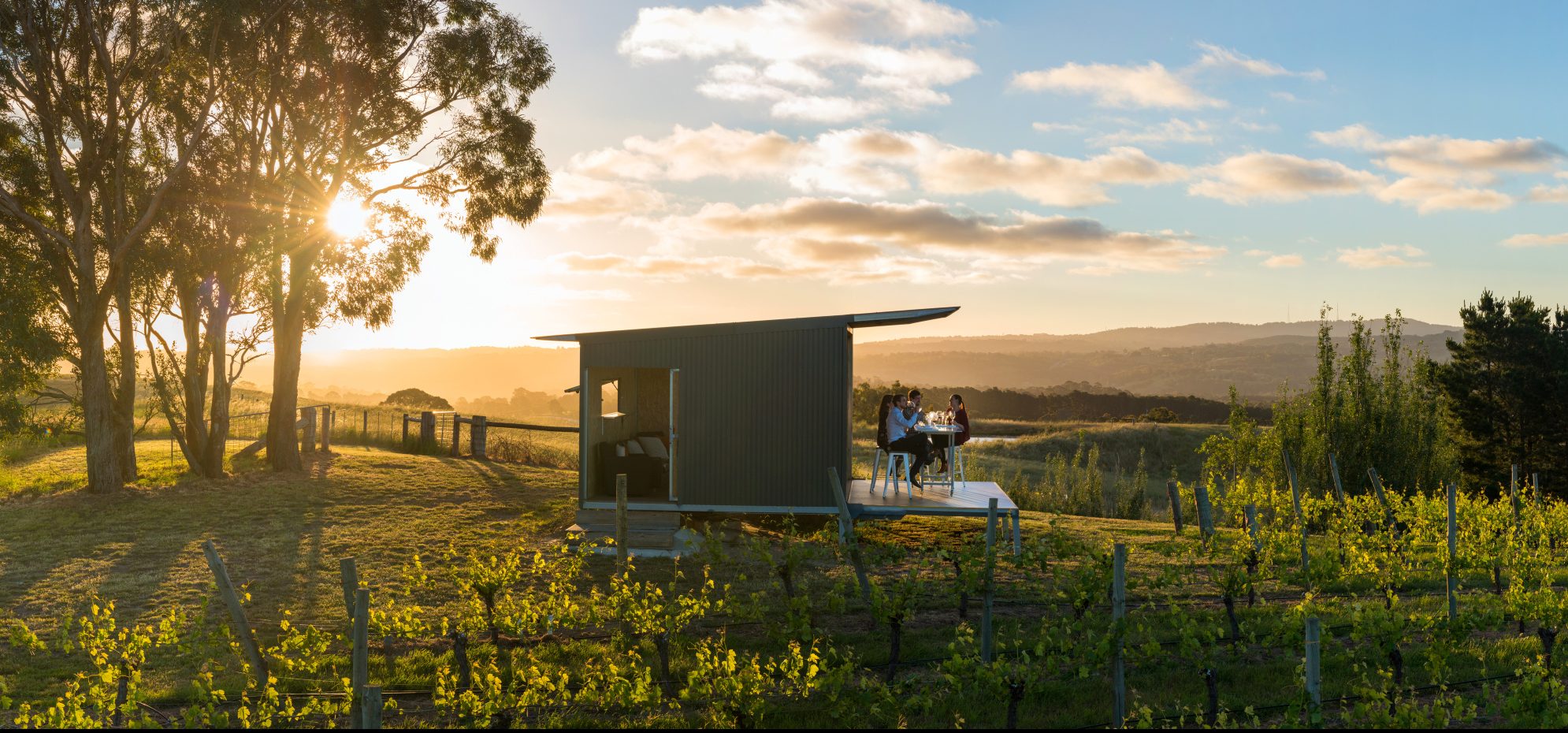 wineries in south australia
