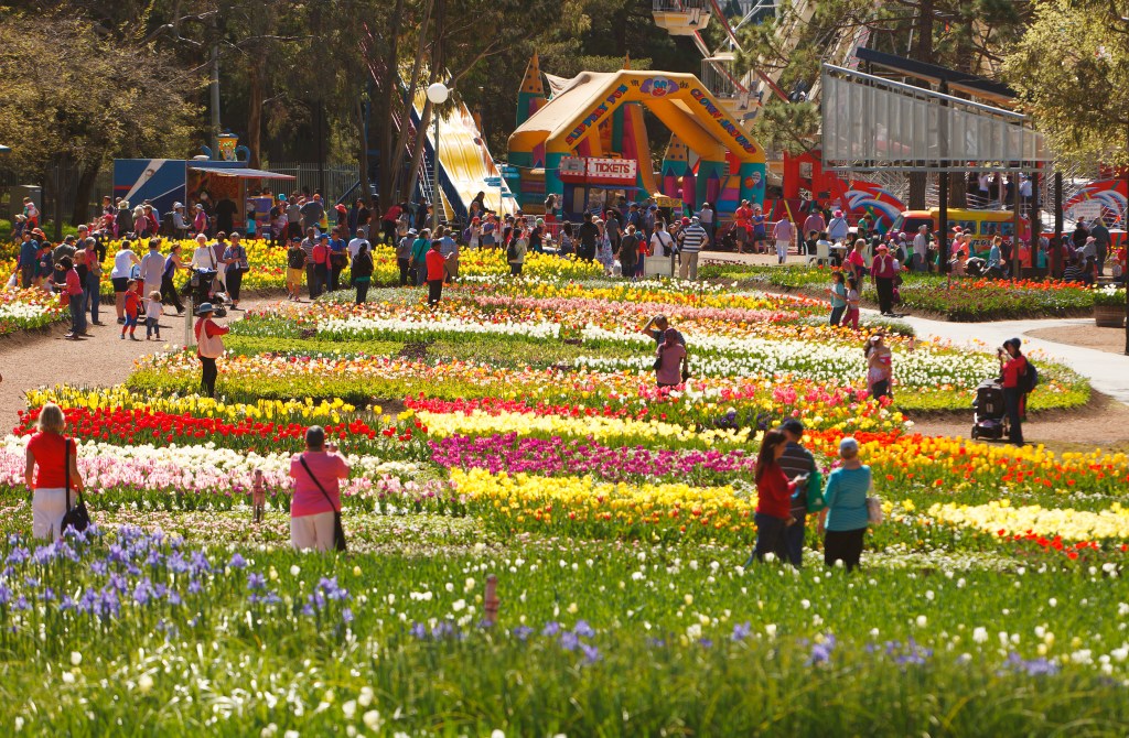 Floriade Australia, Canberra, one of the country's longest running flower festivals - Luxury Escapes 