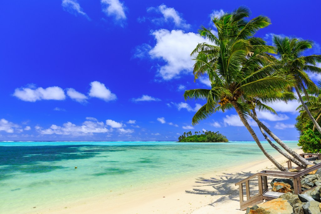 Palm trees over Muri Lagoon in Cook Islands South Pacific