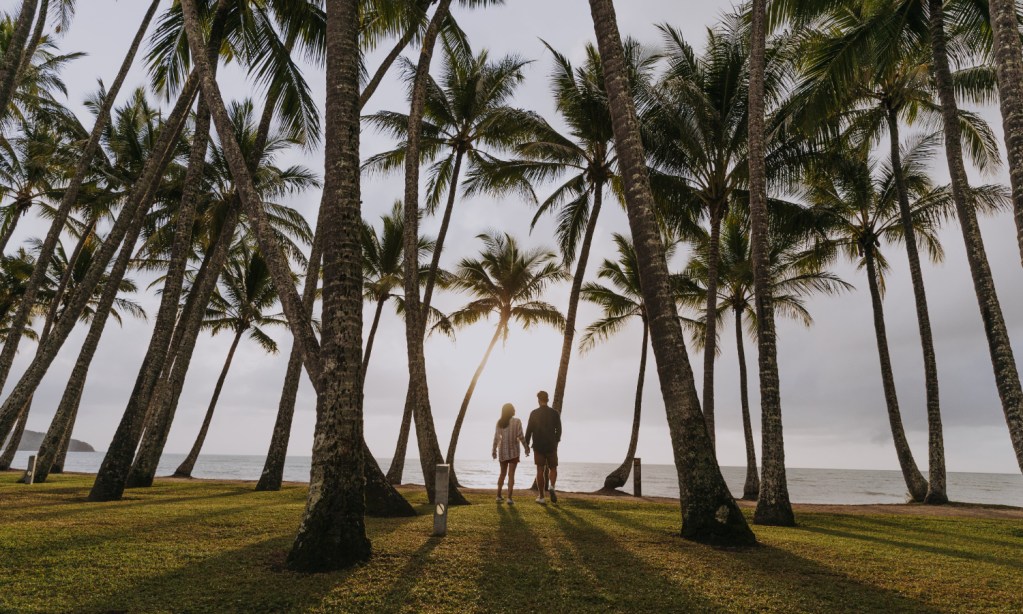 Two people walking among palm trees in Queensland, one of Australia's best babymoon destinations 