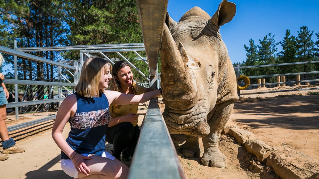 Two women pet a rhino at Jamala Wildlife Lodge - Luxury Escapes