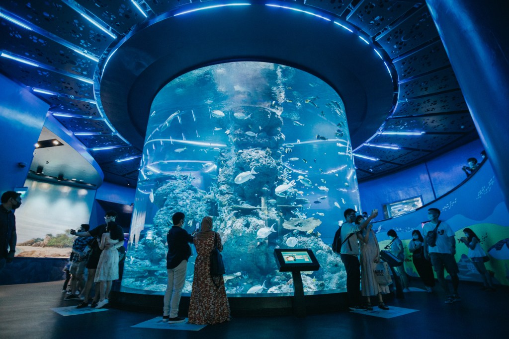 S.E.A. Aquarium, one of the best family-friendly attractions to visit in Singapore - Luxury Escapes. 