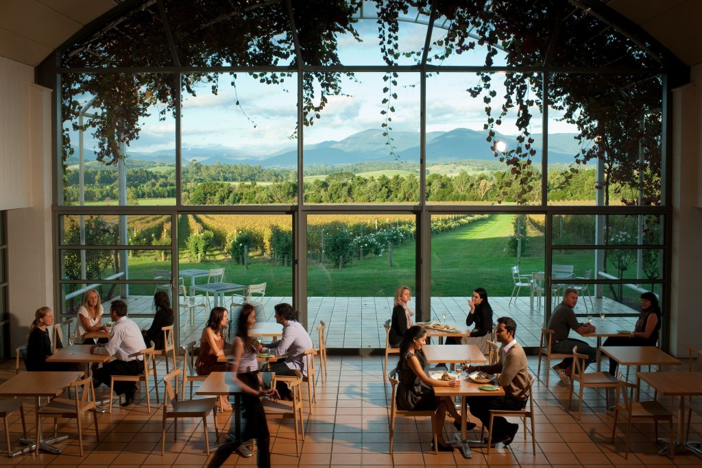 A shot of people enjoying delicious food and wine at Domaine Chandon winery - Luxury Escapes