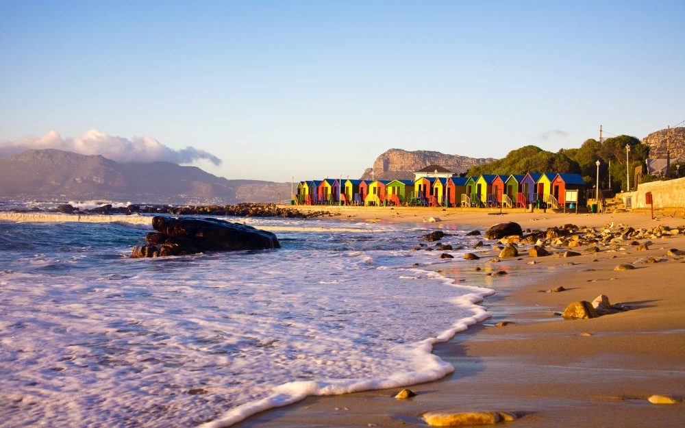 Uncover the world-class surf in Cape Town or explore Aliwal Shoal for unforgettable diving experiences. 
