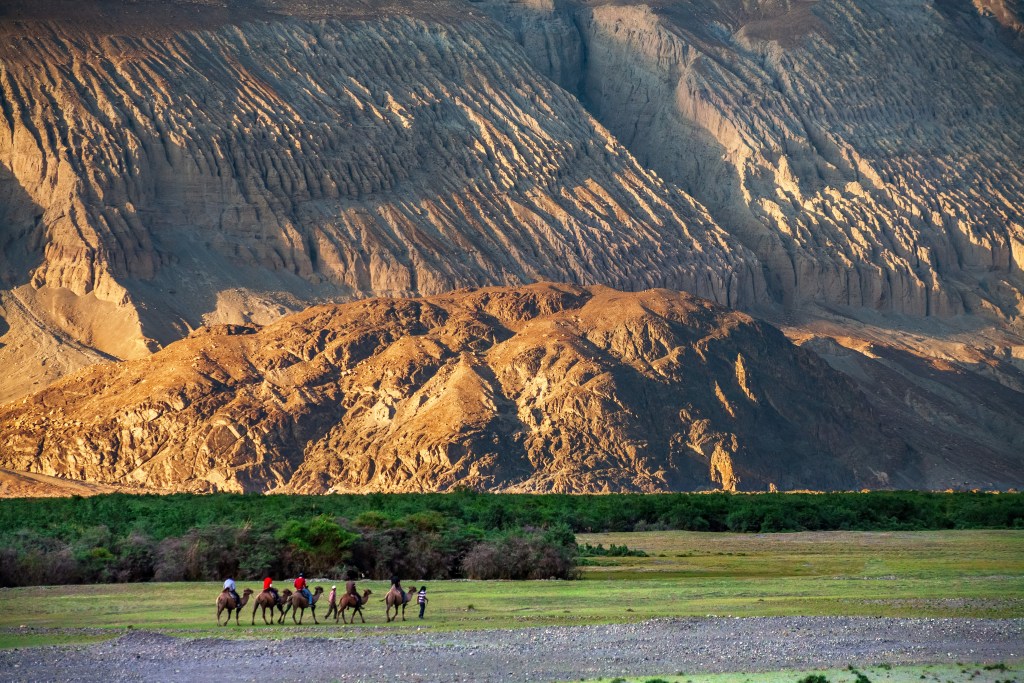 The towering sand dunes and lush orchards of the Nubra Valley are among the highlights of a visit to the Ladakh region - Luxury Escapes