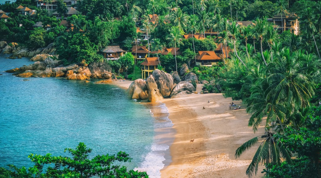 For holistic wellness and incredible rainforests, head to Koh Samui in Thailand. 